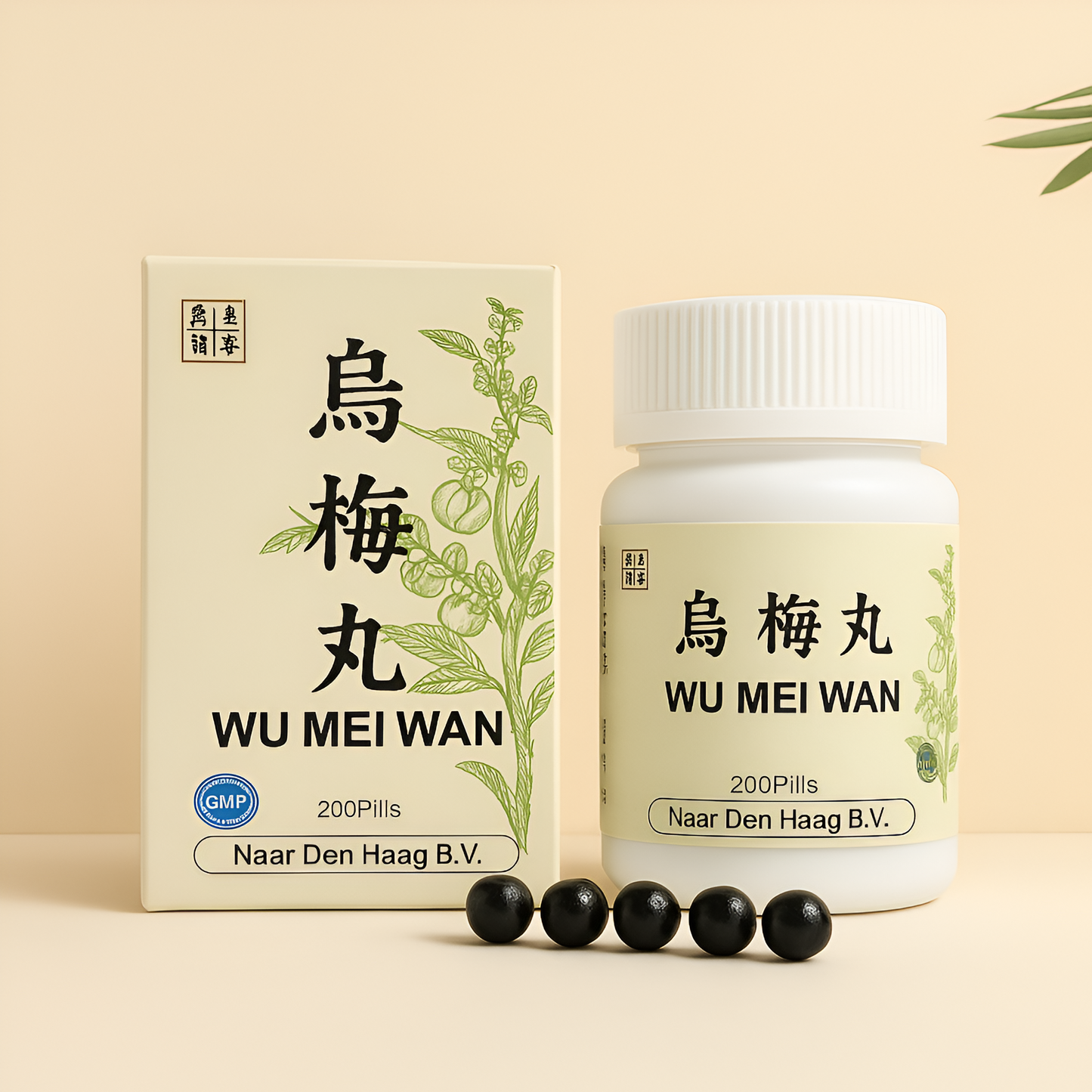 Wu mei wan - Diarrhea Relief (乌梅丸) image 0